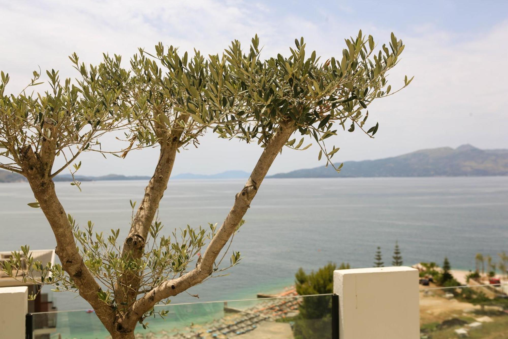 Matias Apartments Sarande Exterior photo